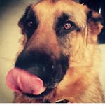 Steve Dutcherson, GSD - @stevedutcherson - Instagram
