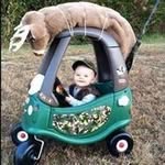 Steve Dye - @dye5428 - Instagram
