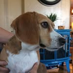 Steve Dymond - @steve.dymond.589 - Instagram