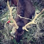 Steve Dymond - @skyeblade - Instagram