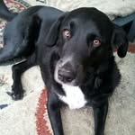 Steve Dyson - @ethdys - Instagram