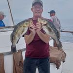 Steve Eakins - @steve.eakins.98 - Instagram