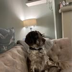 Steve Eckersley - @seckers911 - Instagram