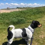 Steve Eckersley - Facebook