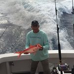 Steve Edlund - @steveedlund - Instagram