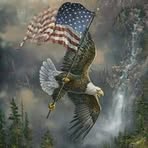 Steve Eggleston - Facebook