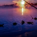 Steve Eggleston - Facebook