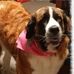 Stephen Ehinger - Facebook