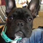 @steveeisen - Instagram