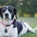 Steve Eisenhauer - Facebook