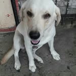 Steve Eliecer Atencio  Aizprua - @steveeliecer - Instagram
