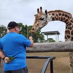 Steve Ellery - @steve.ellery - Instagram