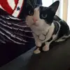 Steve Ellinger - @steveellinger - TikTok