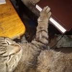 Steve Embrey - @embrey2999 - Instagram