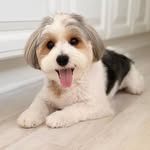 Steve Emmanuel - @steve.emmanuel.1840 - Instagram
