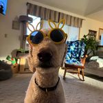 Steve Endres - @stewie_studebaker - Instagram