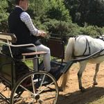 Stephen Enright - @steveenrights - Instagram