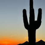 Steve Enyeart - @saguarobook - Instagram