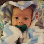 Steve Erdman - @steveerdman - Instagram