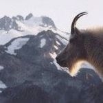 Steve Erdman - @steve.erdman.712 - Instagram