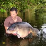 Steve Falco - @steve_falco1 - Instagram