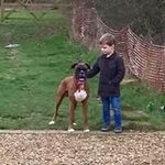Steve Fallows - @steve.fallows - Instagram