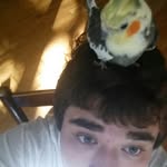 steve farina - @wstarsteve1 - Instagram