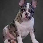 Steve Farina - @steve.f59 - Instagram