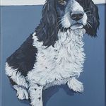 Steve Fay Pet Portraits - @stevefaypetportraits - Instagram