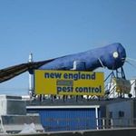 Steve Feigenbaum - @cuneiway - Instagram