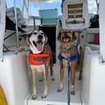 Steven Feigenbaum - @captfeig - Instagram