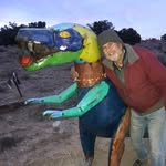 Steve Fitch - @steve.ace.fitch - Instagram