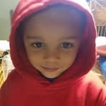 Steve Fogle - @steve.fogle.50 - Instagram