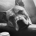 Steve Fogle - Facebook