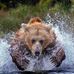 Steve Foran - Facebook