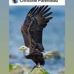 Steve Foreman - @christineparenteau4 - Instagram
