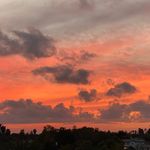 Steve Foreman - @foreman949 - Instagram