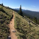 Steve Foreman - @steve.foreman.5680 - Instagram