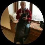 Steve Foreman - @foreman26536 - Instagram