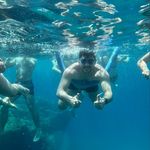 Stephen Forster - @steve_forster - Instagram