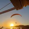 Steve Forster - @steve.forster - TikTok