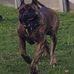 Steve Fortin - Facebook