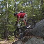 Steve Fortune - @fastolbiker - Instagram