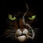 Steve Fortune - @stevefortune9 - Instagram