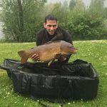 stephen taylor - @stevefreelander - Instagram