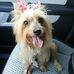 Steve Freeland - Facebook