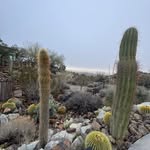 Steve Friedlander - @friedlander_steve - Instagram