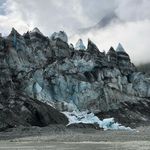 Steve Friedlander - @sgfriedlander - Instagram