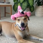 Steve - @steve_from_merced - Instagram