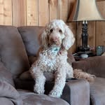 Steve Frye - @frye_steve - Instagram